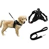 Heavy Duty Adjustable Pet Puppy Dog Safety Harness with Leash Lead Set Reflective No-Pull Breathable Padded Dog Leash…