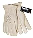 Gloves Pigskin Insulated XLarge, PR