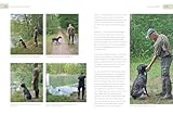 Der Jagdgebrauchshund: Erfolgreiche Jagdhunde Ausbildung. Erziehen – Abrichten – Führen (BLV Jagdhunde)