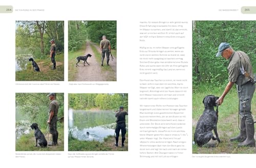 Der Jagdgebrauchshund: Erfolgreiche Jagdhunde Ausbildung. Erziehen – Abrichten – Führen (BLV Jagdhunde)