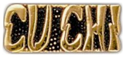 US Army Cu Chi Lapel Pin