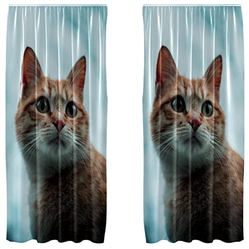 Cortinas opacas de gato contra la luz exterior en dormitorios de niños 2