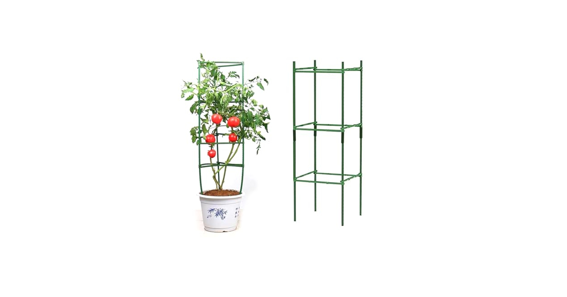 Amazon | 植物支柱 トマト支柱 つる性植物 観葉植物 成長誘引