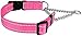 CollarDirect Martingale Dog Collar with Stainless Steel Chain and Quick Release Buckle - Reflective Collar for Large, Medium, Small Dogs - Pink, Medium (Neck Size 14