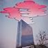 Pink Fog