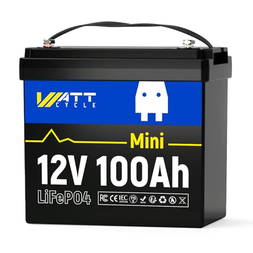 DATOUBOSS 24V 100Ah Lithiumbatterij, LiFePO4 Lithium-accu, Ingebouwde DATOUBOSS 24V 100Ah Lithiumbatterij, LiFePO4 Lithium-accu, Ingebouwde