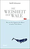 Die Weisheit der Wale: Wie uns die Giganten der Meere zu mehr Tiefe führen - Steffi Schroeter