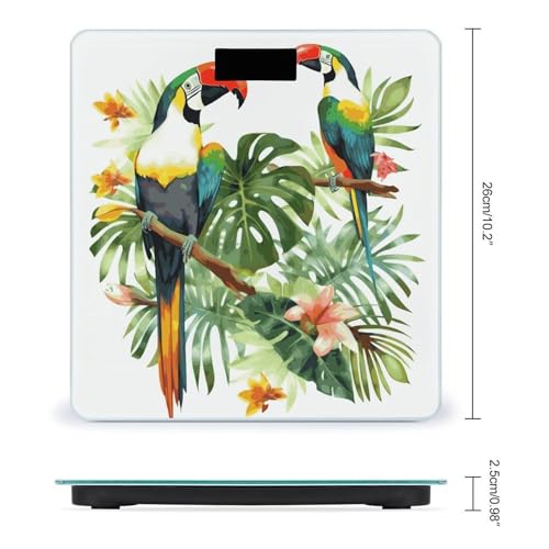 Báscula digital de baño con plataforma de vidrio templado 10x10 in miniatura 2