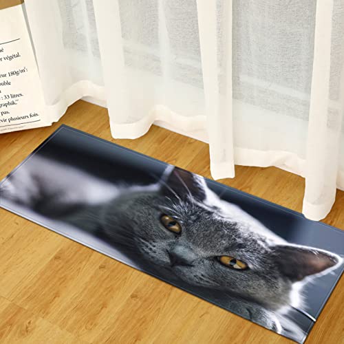 TFLABS Küchenmatten Grau & Tier Katzen Barrier Teppiche mit Gummirücken, saugfähig, waschbarer Teppich für Flur, Küche, Eingang 60 x 180cm