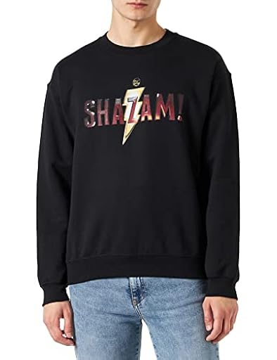 DC Comics Meshazmsw003 Sudadera, Negro, M para Hombre | Ya disponible en tu tienda friki favorita! En mundofriki.es!