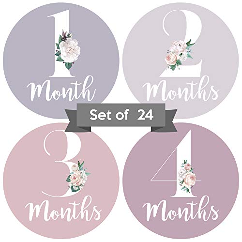 Image of Baby Monthly Stickers - Set of 24 - Floral Baby Girl Milestone Stickers - Perfect for Newborn Girls - Month to Month Milestones - Purple Mauve Floral Design (Set of 24)