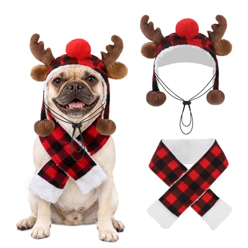 SCENEREAL  NX}Xߑ - GNnbgƃobt@[XJ[tRX`[Zbg ^  ^p ybg NX}X zf[ ߑ  q RXv p[eB[ Ap ANZT[