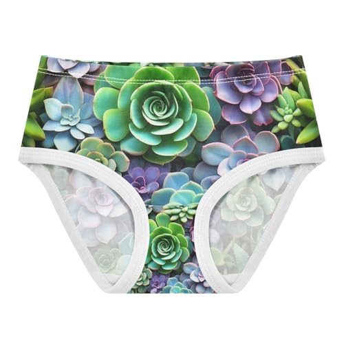 Colorful Succulents Toddler Girls's Underwear 2T 202c1873