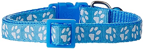 Collier chat bleu clair ajustable pour retrouver votre félin