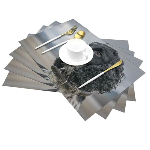 Sets de table Cocker Spaniel lavables en PVC noir 30x45 cm lot de 6 - 3