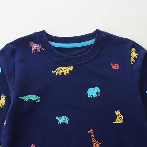 Boys Sweatshirts Casual Sweatshirts Cotton Sweatshirts Long Sleeve T-shirts Crew Neck Cartoon Tops for Boys-3724