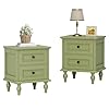 Scurrty antique nightstand antique end table with 2 drawers taller nightstand for bedroom side table for bedroomgreen double  urban country home decor