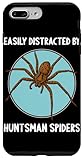 Huntsman Spider Riesenkrabbenspinne Tier Shop