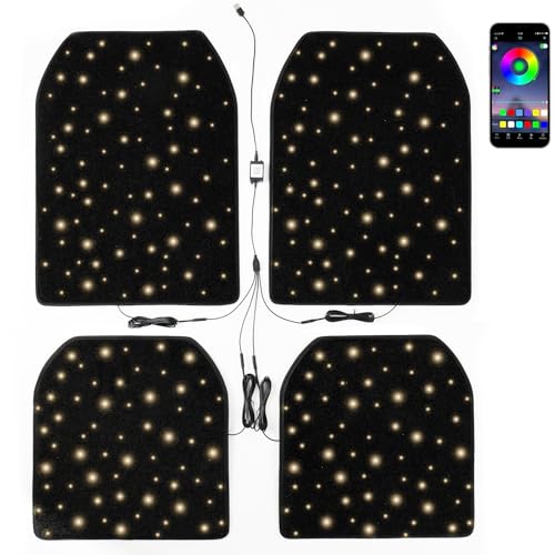 Car Floor Mats for Cars SUVs Trucks Starlight LED Light Universal Liner