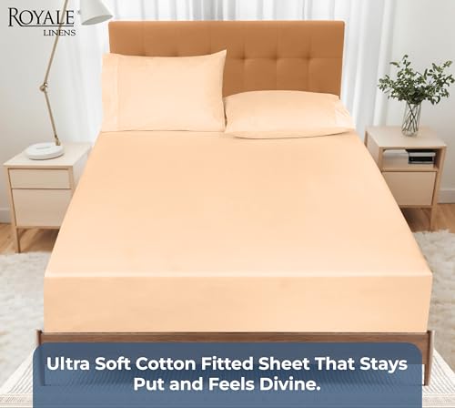 Image of Royale Linens 100% Organic Cotton Fitted Sheet - Percale Weave - Super Soft Deep Pocket Bottom Sheets - Elastic Sheet Twin XL Size - Twin XL Fitted Sheets Only - (39 inchx80 inch+15 inch, Sand)