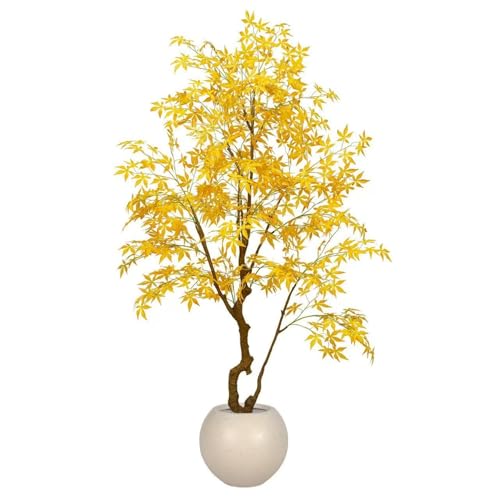 varayumi H JGf lHH tFCNCG[ lHϗtA CeAO[ ^ { lHA ϗt sv Q쏜sv p Vv {I   (2.5[gAؔȂ)