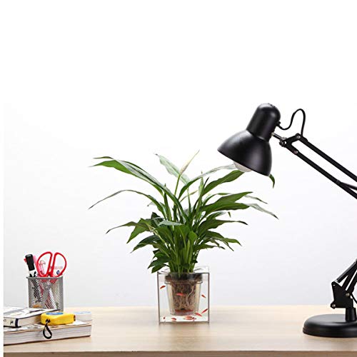 Miniatura 3 de Pecera Creative Flower Boot Bote Automático Agua Absorción Pote Automático Irrigación Hidropónico Plastic Pescado Tanico Cuadrado Para Exhibición En El Escritorio