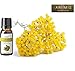 AROMIS Organic Helichrysum Essential Oil -Immortelle- Bulgarian - 100% Pure Therapeutic Grade 10mL (.34 Fl Oz), Undiluted, for Aromatherapy Diffuser