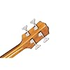 Epiphone El Capitan J200 Studio Bass Acoustic Electric, Aged Natural