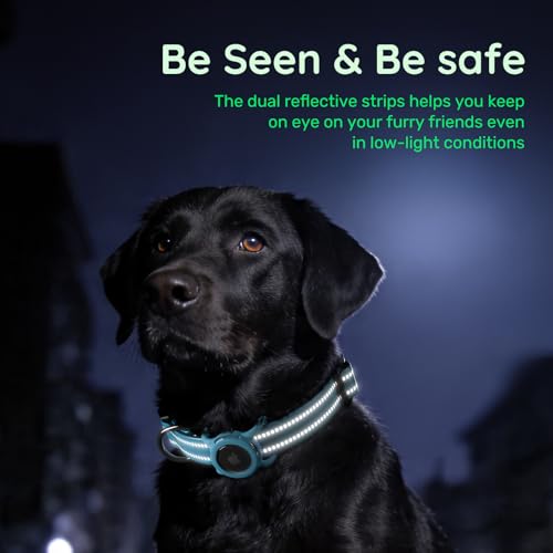 Image of Reflective Dog Collar with AirTag Holder, Waterproof Dog Collar with QR Code, Heavy Duty Adjustable Pet Collar for Small Medium Large Dogs, Blue