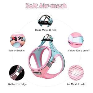 Soft Mesh Dog Harness and Leash Set Nochock Stepin Reflective Breathable Lightweight Easy Walk Escape Proof Vest Harnesses with Safety Buckle for Small Medium Dogs Cats m Pink Blue Cucciolini Doodles Soft mesh dog harness and leash set no chock step in reflective breathable lightweight easy walk escape proof vest harnesses with safety buckle for small medium dogs cats m pink blue cucciolini doodles