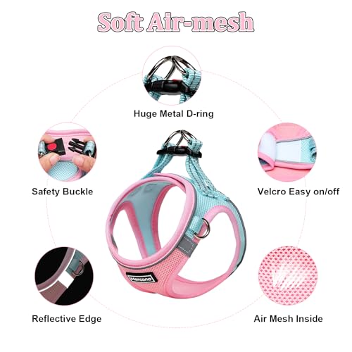 Soft Mesh Dog Harness and Leash Set Nochock Stepin Reflective Breathable Lightweight Easy Walk Escape Proof Vest Harnesses with Safety Buckle for Small Medium Dogs Cats m Pink Blue Cucciolini Doodles Soft mesh dog harness and leash set no chock step in reflective breathable lightweight easy walk escape proof vest harnesses with safety buckle for small medium dogs cats m pink blue cucciolini doodles