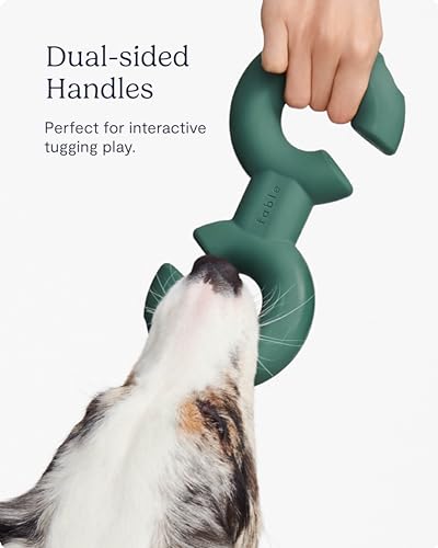 FABLE Brinquedo de puxar para cães Twin Falcon – Brinquedos dispensadores de petiscos com várias cav