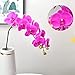 NatureMan 2pcs Artificial Orchid Stems Real Touch Simulation Phalaenopsis Branches 9 Large Blooms 38 Inches Tall for Home Wedding Party Decoration (Purple)