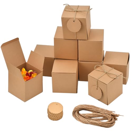 NAROSEBE 50 Pzs Cajitas para Regalos Kraft, Caja Carton Kraft Regalo, Cajas de Cartón Kraft Regalo,Cajas Kraft con Cuerda Cáñamo y Etiquetas Cajas Kraft Pequeñas para Fiesta, Cumpleaños, Bodas