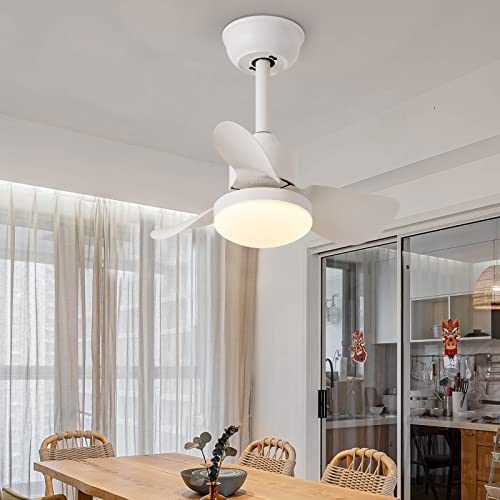 Emikirii Ceiling Fan With Lights And Remote,21'' Small Modern Ceiling Fan,Smart App Control,Dimmable Metal Blades Flush Mount Quiet Mini Ceiling Fans Lights For Kitchen Dining Room Bedroom #TOP3