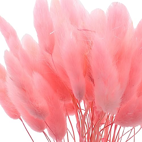 60 flores secas Lagurus Ovatus rosa para decoración miniatura 2