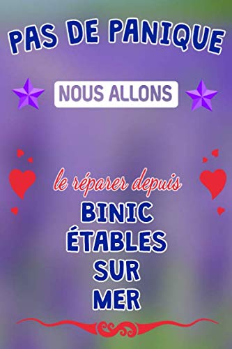 Pas de panique, nous allons le rÃ©parer depuis Binic-Ã‰tables-sur-Mer: journal | agenda | carnet de notes avec page lignÃ©e (French Edition)