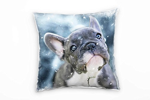 Paul Sinus Art Petit Bouledogue français Coussin décoratif canapé canapé 40 x 40 cm - Décoration Bien-être - Fabriqué en Allemagne, Microfibre, Gris, Bezug mit...
