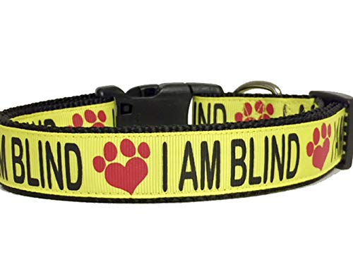 dog safety collar
