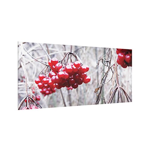 Bilderwelten Panel antisalpicaduras de Cristal - No.CA42 Forest Fruits - Horizontal 1:2, Panel antisalpicaduras Panel de Vidrio para Cocina Panel Protector contra Salpicaduras, Tamaño: 40cm x 80cm