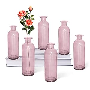 Paisener Small Glass Vases Set of 6, Bud Vases Set Clear vases for centerpieces, Weddings, Events, Parties, Floral Centerpieces for Home Decor, Mini Vases 6.3″ Tall