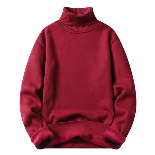 Pull col roulé homme manches longues coupe régulière tricot chaud hiver
