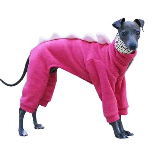 IUOUTG ʔnEB^RX`[ߑ킢~gSgJo[I[C^AO[nEhp