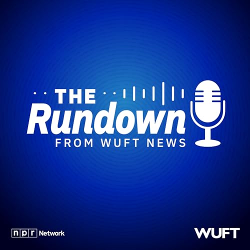 Couverture de The Rundown from WUFT News