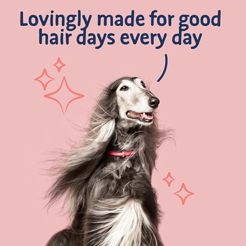 Barking Heads Complete Trockenfutter für Hunde, 2kg, für Erwachsene, All Hounder Hair Necessities, Lachs, natürlich, getreidefrei, hypoallergen für Haut und Fell, tierärztlich zugelassen