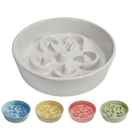 c(Nishida)ybgH Hh~ t[h{E Lp p ˂H LpH H aM GTM ˂t[h{[ M Z~bN  (white)