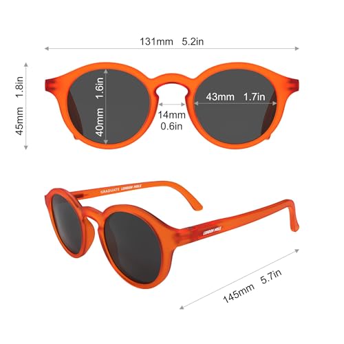 Image of LONDON MOLE Graduate sunglasses | Cool round panto shaped glasses | Men's Women's Unisex | Spring hinges