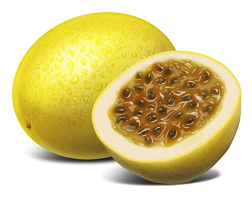 Muda De Maracujá Doce Excelente Cultivo Para Produzir