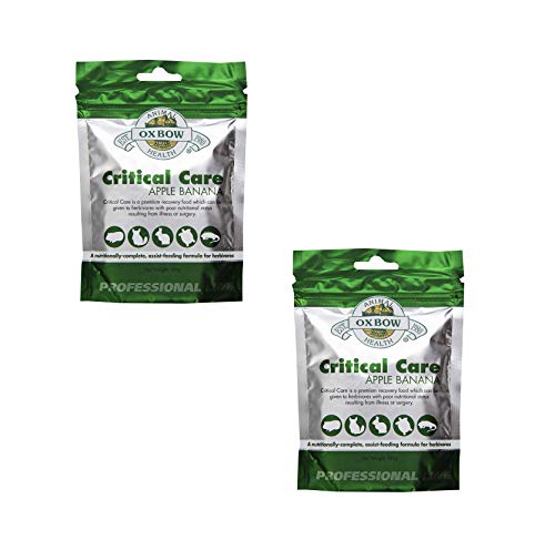 Oxbow Critical Care Apple/Banana Pet Supplement, 141gm (2 Pack)