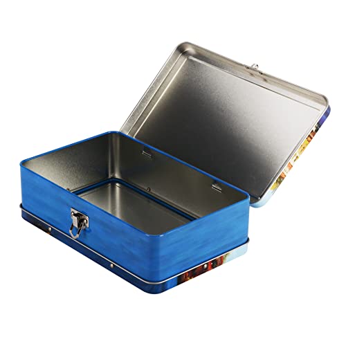 Image of DAHO Metal Storage Box with Hinge for Office, School, Home, Makeup, Arts & Crafts and Accessories (Europe)